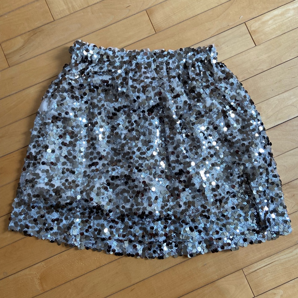 Silver Sequin Skirt